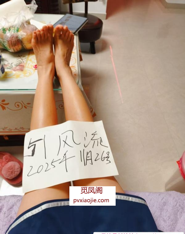 二刷二七花胸姐