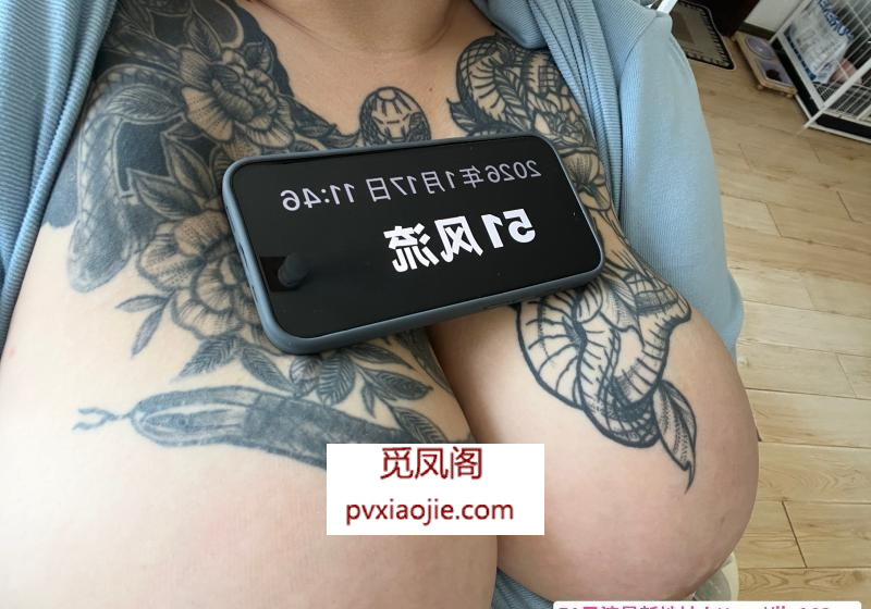 即墨花胸小坦克